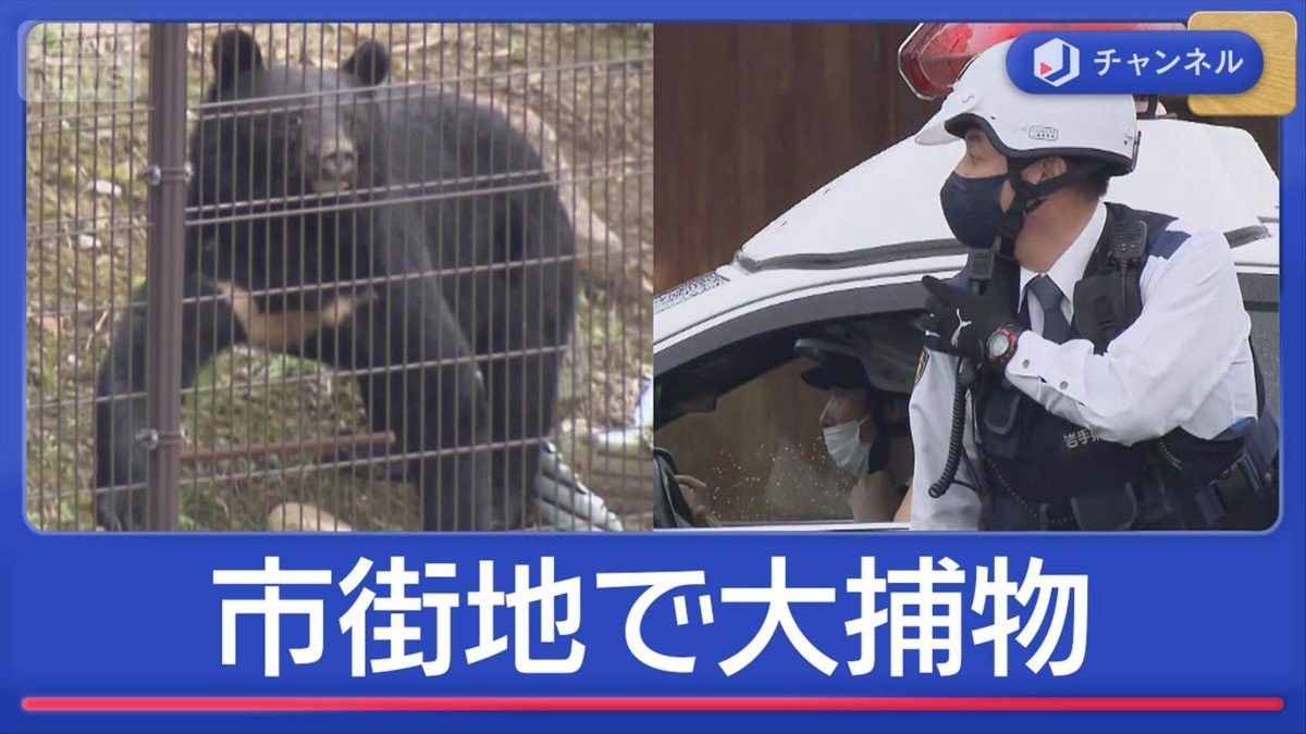 カメラの前で…市街地クマ大捕物の一部始終 被害続発　都内でも目撃