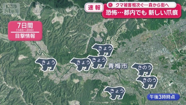 連日クマが目撃されている