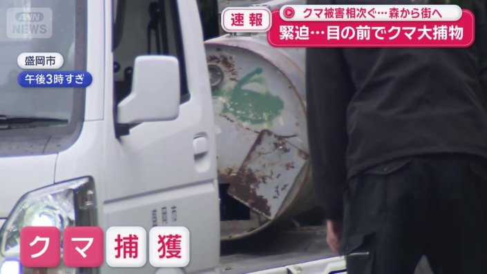 クマの捕獲に成功