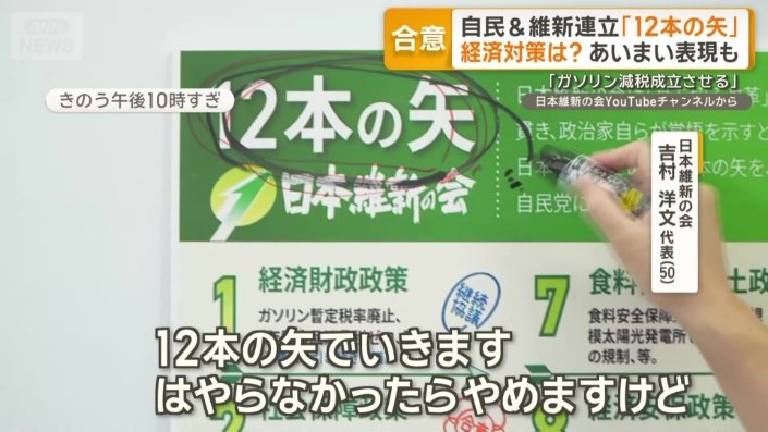 日本維新の会「12本の矢」