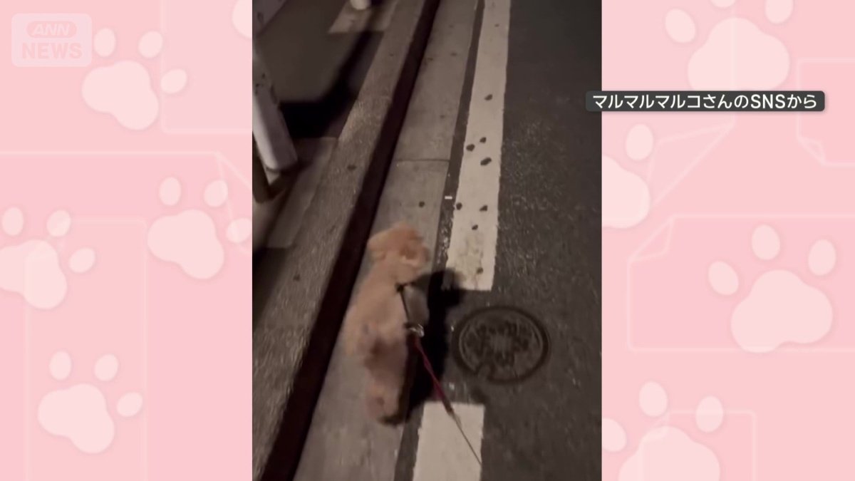 マンホールはキュッとよける