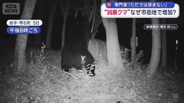 ツキノワグマ