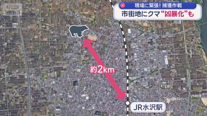 周囲には住宅や中学校、スーパー