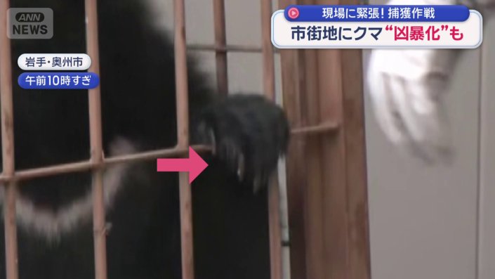 鋭い爪