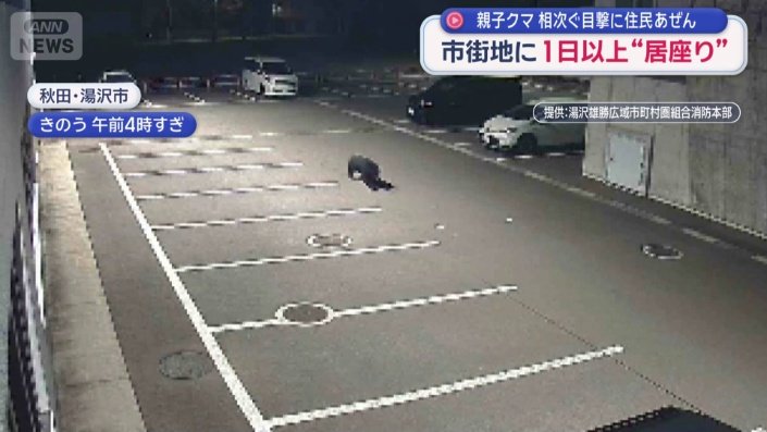 猛スピードで走り抜けるクマ