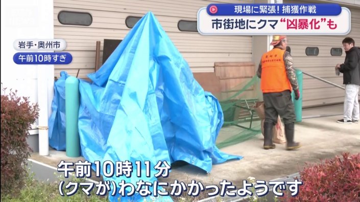 捕獲に成功
