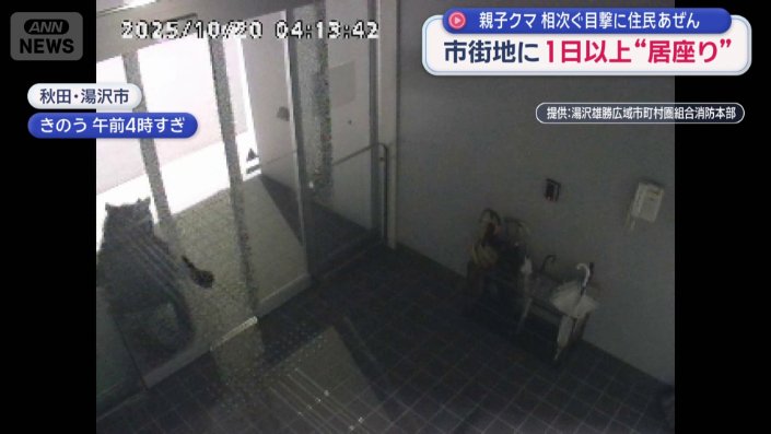 自動ドアを開けて中に侵入