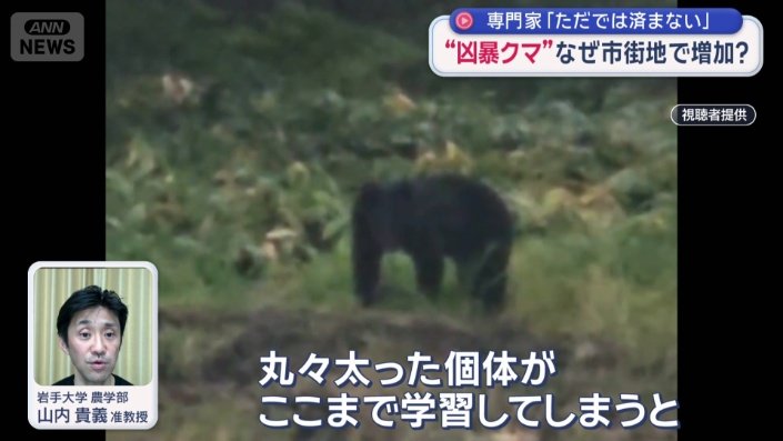 「捕獲するしかない」