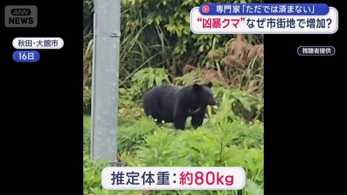 専門家の推定