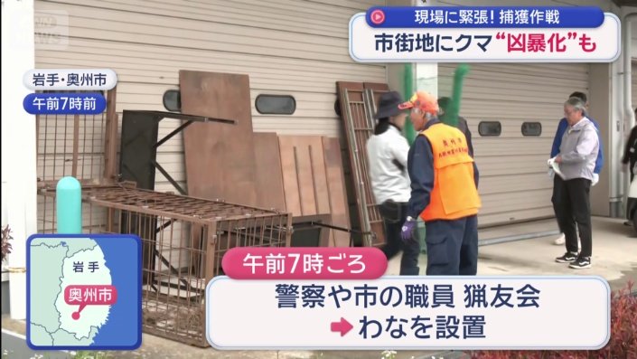 会社の車庫に子グマが侵入
