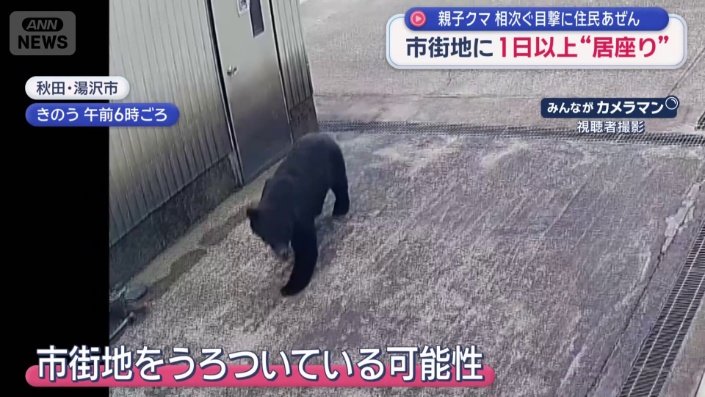 住宅近くの防犯カメラの映像