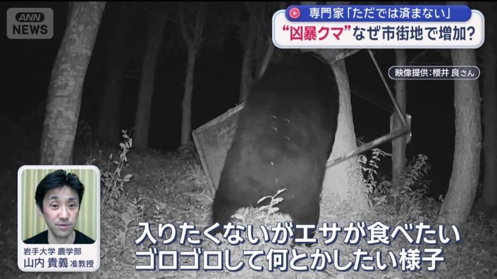 専門家の分析