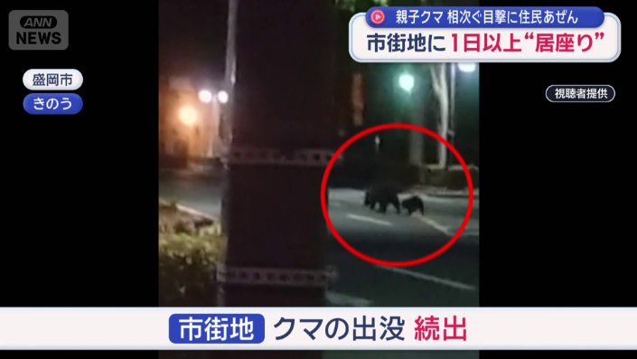 岩手県庁の目の前で撮影
