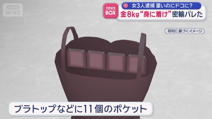ブラトップなどに11個のポケット