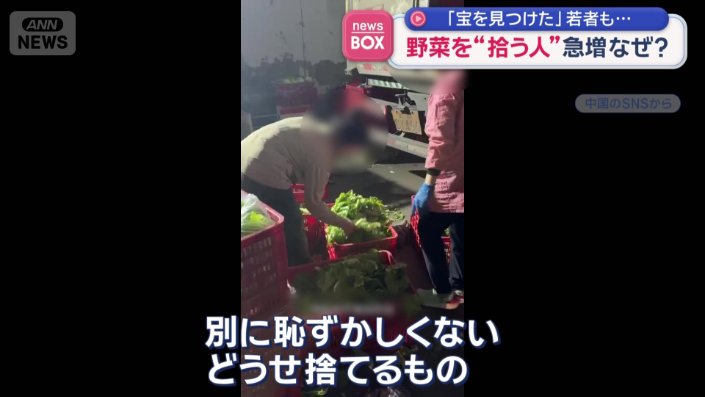 「拾わなかったらもったいない」