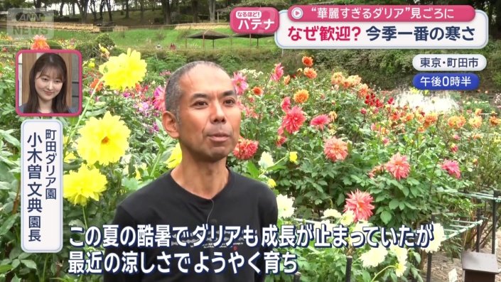 町田ダリア園　小木曽文典園長