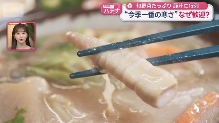 高知産の四方竹という秋のタケノコ