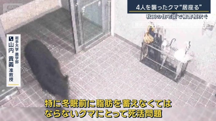 岩手大学農学部　山内貴義准教授