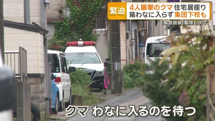 クマを刺激しないようわなに入るのを待つ