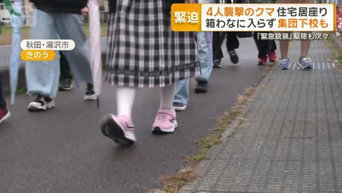 集団下校する小学校の児童
