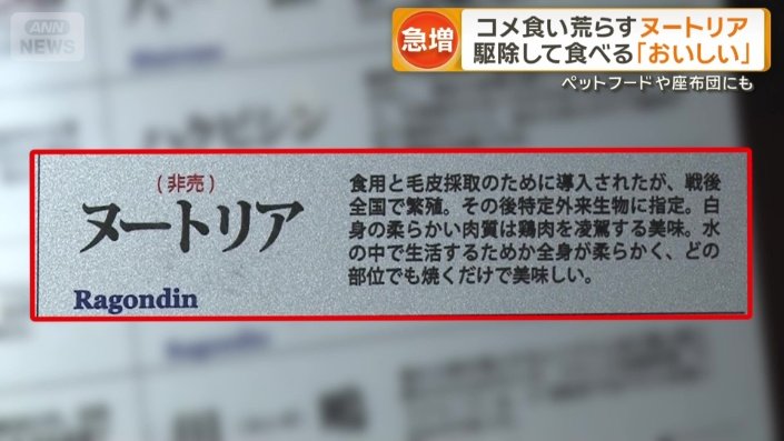 店のメニュー表