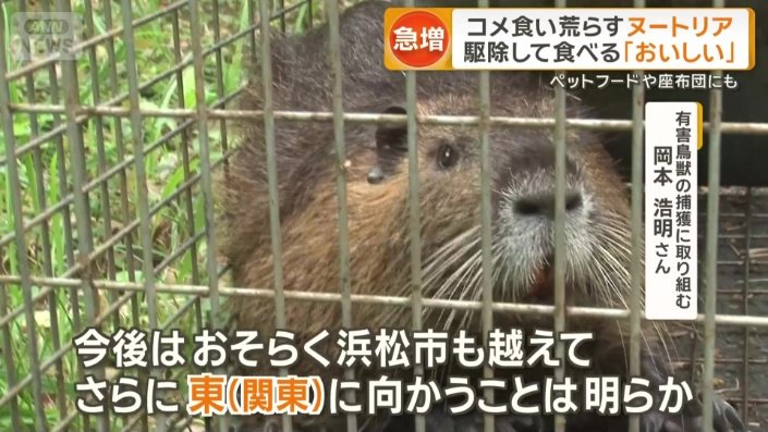 早めの対策・対応が必要