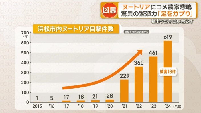 目撃情報は年々増加