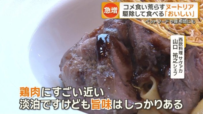 柔らかくておいしいのが特徴