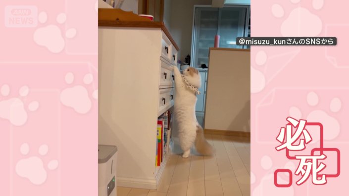 必死さが伝わる、ピン！とした背筋