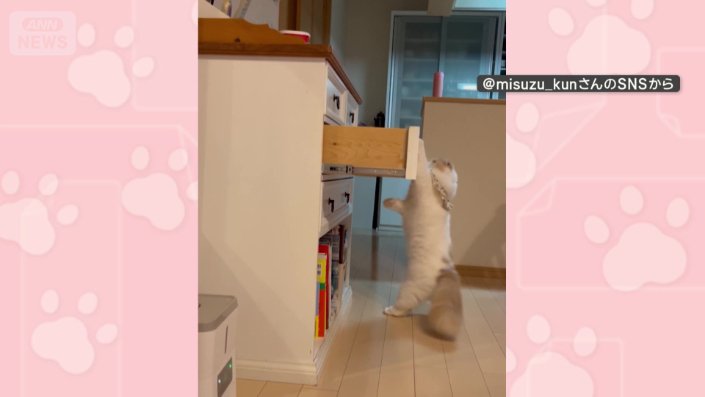 やっとの思いで開けた！