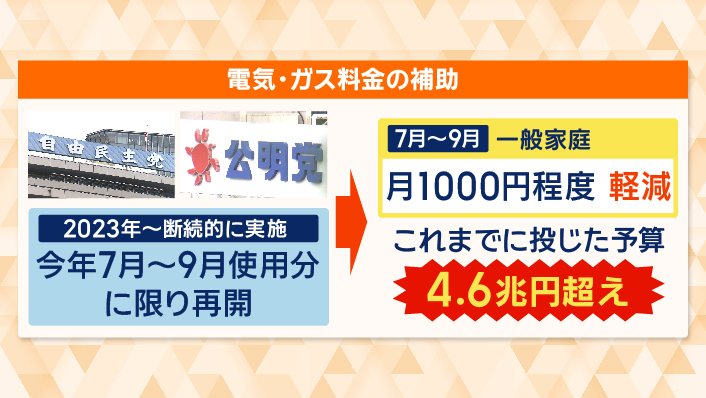 電気・ガス料金の補助