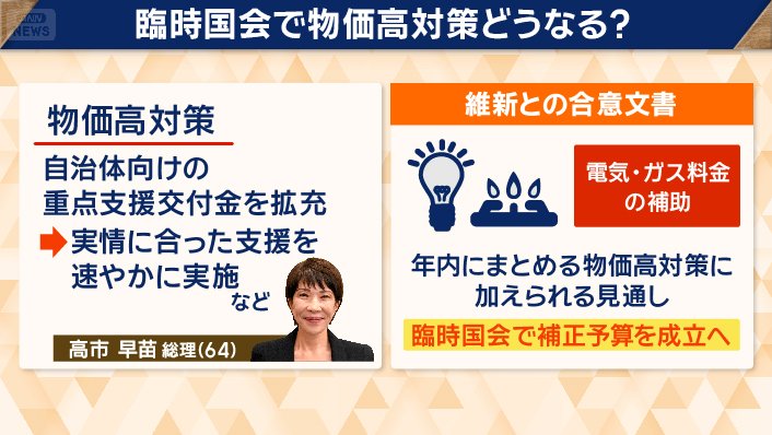 臨時国会で物価高対策どうなる？