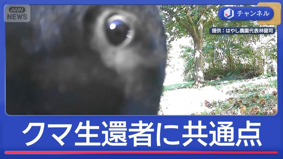 クマ被害者語る”生死分けた行動”は？