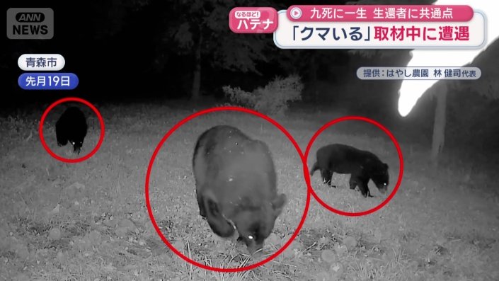 3頭の親子連れで現れることも