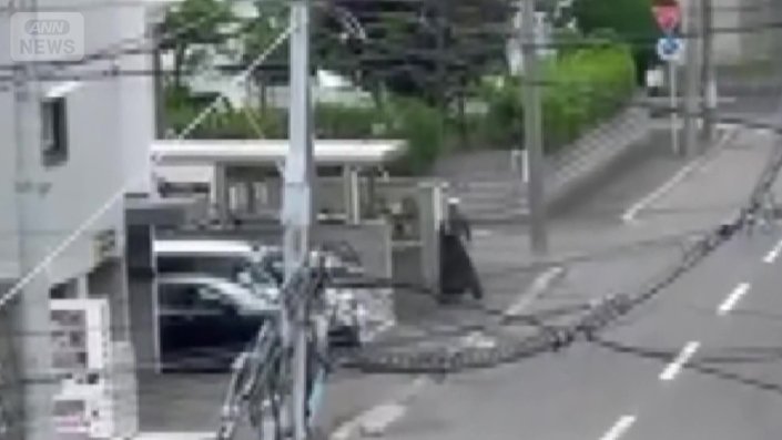 男性がクマに襲われる様子
