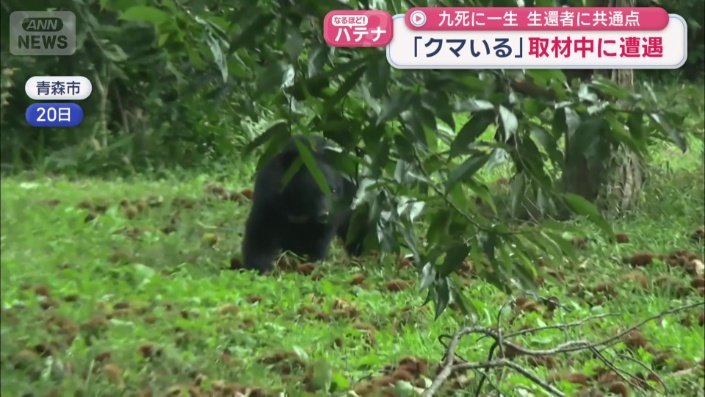 取材中にも…