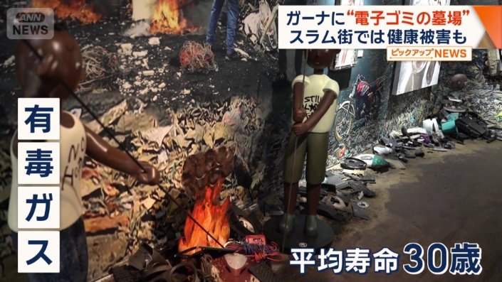 平均寿命は30歳くらい