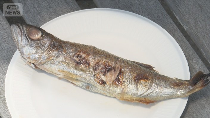 キッチンカーで焼く焼き魚