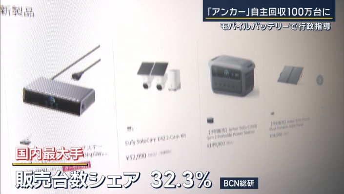 国内最大手