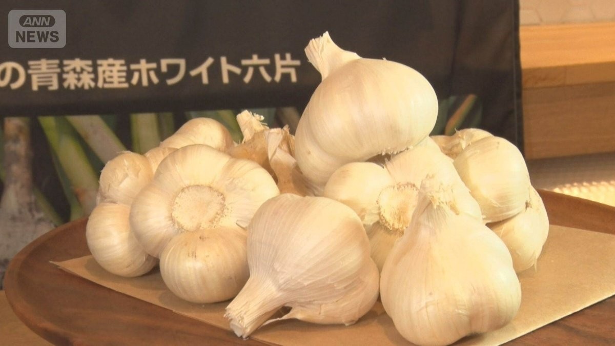 国産ニンニク人気　栽培簡単で生産農家急増　若者の健康志向と臭い低減が後押し