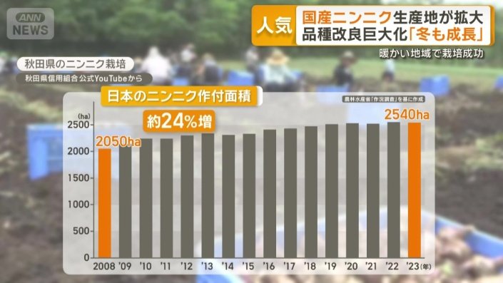 秋田県のニンニク栽培