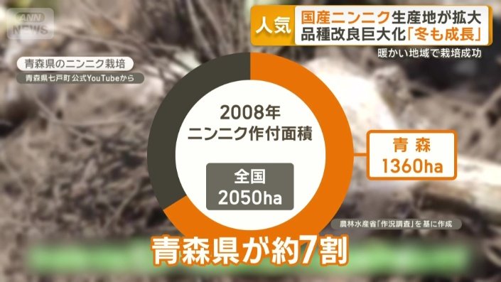 青森県のニンニク栽培