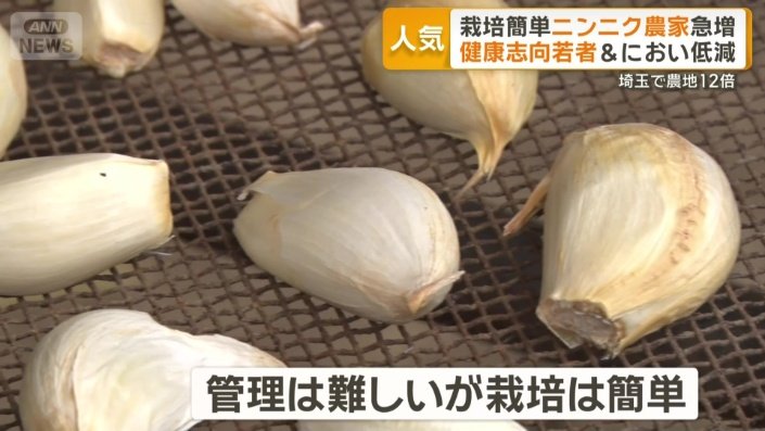 栽培自体は簡単だというニンニク