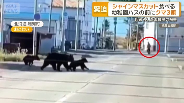 幼稚園のバスの中から撮影された映像