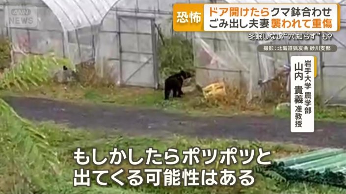 冬眠しないクマが現れる可能性も