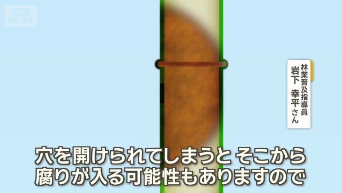 竹に対するダメージが大きい
