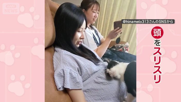 おなかをなでるように自分の頭をスリスリ