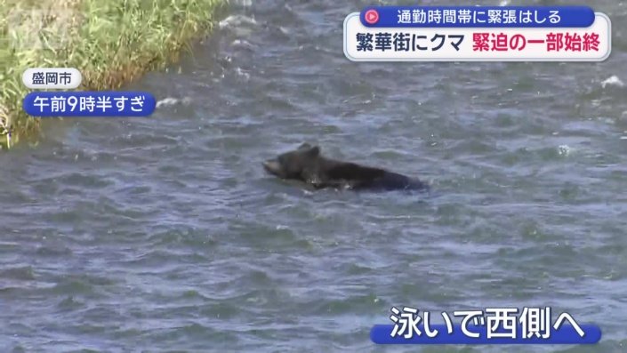 川を泳いで東側から西側へ
