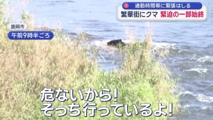 大声で危険を知らせる