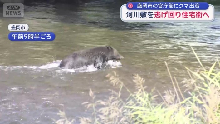 川を渡り切り住宅が立ち並ぶ方へ